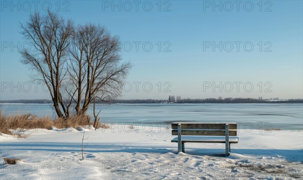 A snow-covered bench overlooking the frozen expanse of a lake AI generated