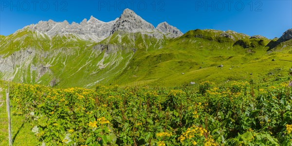 Panorama from the Kemptner Huette, 1844m, to the Muttlerkopf, 2368m, Allgaeu Alps, Allgaeu, Bavaria, Germany, Europe