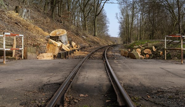 Narrow-gauge railway bed of the Raging Roland, Ruegen, Mecklenburg-Western Pomerania, Germany, Europe