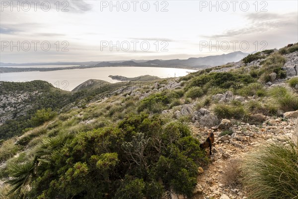 Amazing landscape of Formentor, Mallorca in Spain