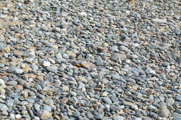 Stones, beach, LLanddwyn Bay, Newborough, Isle of Anglesey, Wales, Great Britain