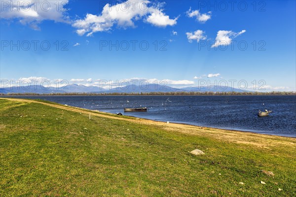 Shore with fishing boats at Lake Kerkini, Lake Kerkini, Central Macedonia, Greece, Europe