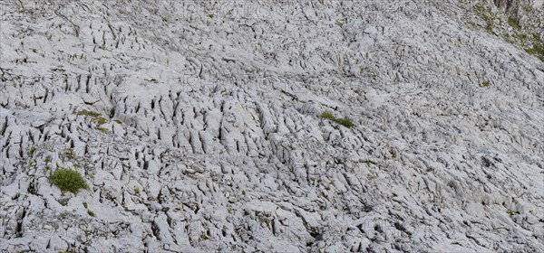 Gottesacker plateau, karst landscape, Kleinwalsertal, Vorarlberg, Allgaeu Alps, Austria, Europe