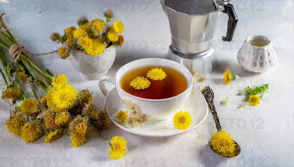 Cosy tea setup with a cup and yellow flowers, medicinal plant coltsfoot, Tussilago farfara, AI generated, AI generated