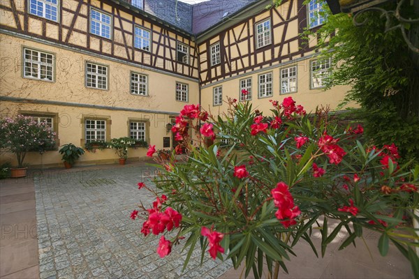 Moated castle Sachsenheim, castle Grosssachsenheim, former moated castle, inner courtyard, city administration, architecture, historic building from the 15th century, half-timbered, Sachsenheim, Ludwigsburg district, Baden-Wuerttemberg, Germany, Europe
