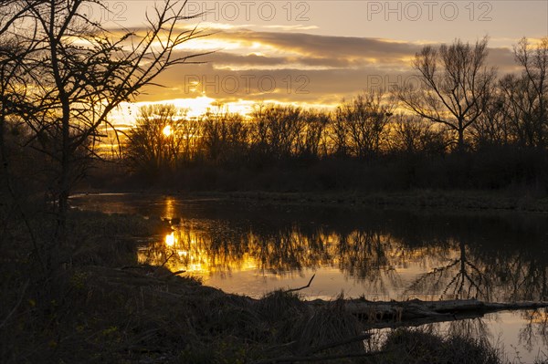 Evening mood, sun, water, Lower Austria