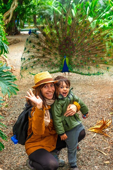 A mother and child smiling together with a male Indian peacock open because it is in heat looking for females