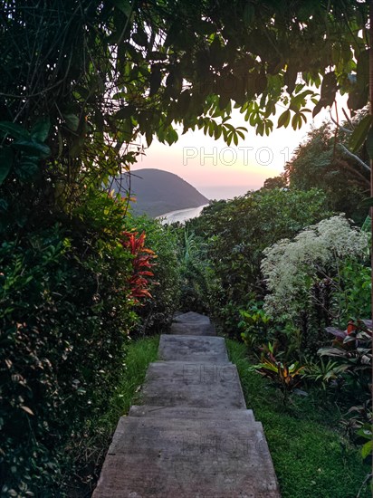 Jardin Botaniqu de Deshaies, botanical garden with flora and fauna in Guadeloupe, Caribbean, French Antilles