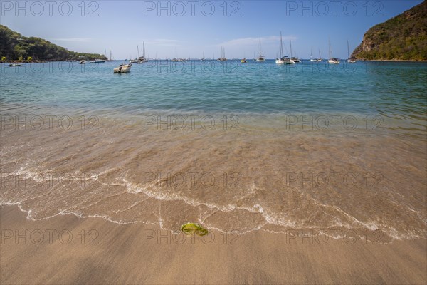 A beach in the Caribbean on the Atlantic coast in Deshaies, Guadeloupe, French Antilles, North America