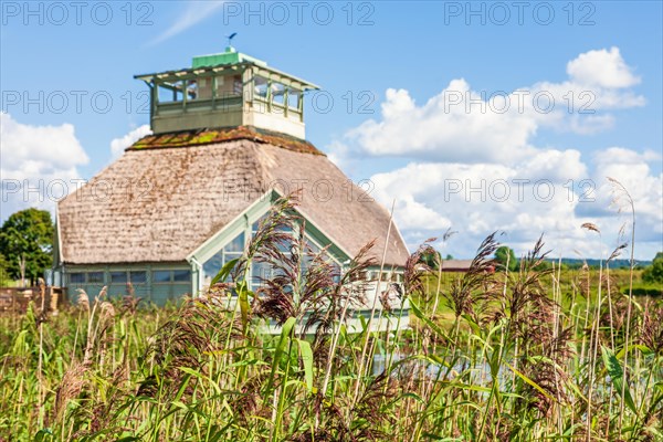 Visitor center in a wetland with growing reeds a sunny summer day, Hornborgasjoen, Falkoeping, Sweden, Europe