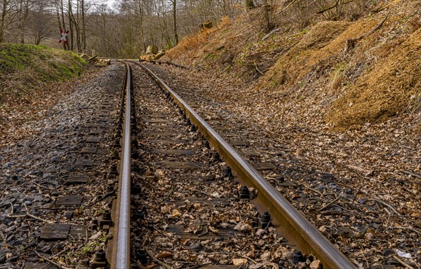 Narrow-gauge railway bed of the Raging Roland, Ruegen, Mecklenburg-Western Pomerania, Germany, Europe