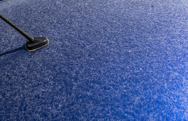 Sahara dust on a car, Braunschweig, Lower Saxony, Germany, Europe