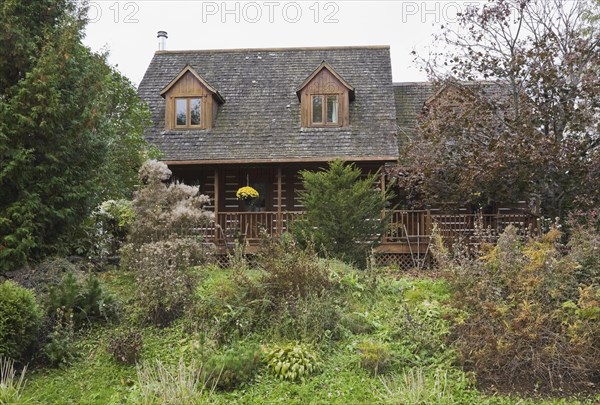 Rustic white chinked two story log home with long veranda and cedar shingles roof covered with green moss plus landscaped front yard with mixed deciduous trees and perennial shrubs in autumn, Quebec, Canada, North America