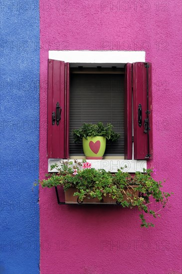 Colourful houses, Burano, Burano Island, Lively window with red shutters and a heart-shaped pot on a pink wall, Burano, Venice, Veneto, Italy, Europe
