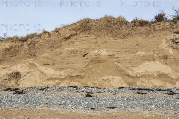 Break-off edge, stones, dunes, LLanddwyn Bay, Newborough, Isle of Anglesey, Wales, Great Britain