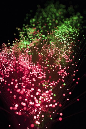 Close-up of red and green lighted fibre optic cables, Studio Composition, Quebec, Canada, North America