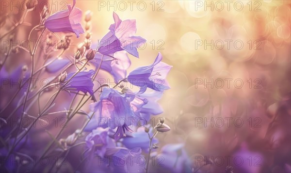 Bellflowers swaying in the breeze, closeup view, soft focus, bokeh AI generated