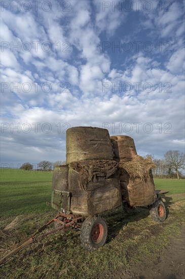 Loader wagon loaded with old hay bales at the edge of a field, Mecklenburg-Western Pomerania, Germany, Europe