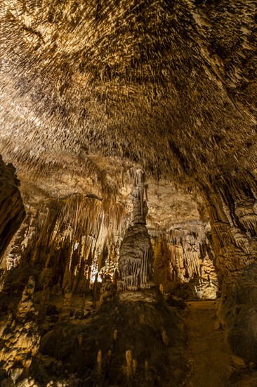 Amazing photos of Drach Caves in Mallorca, Spain, Europe