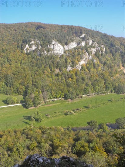White Jurassic gorge valley of the Danube, Upper Danube nature park Park, Fridingen, Tuttlingen district, Baden-Wuerttemberg, Germany, Europe