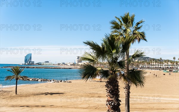 View from the Olympic harbour to the city beach of Barcelona