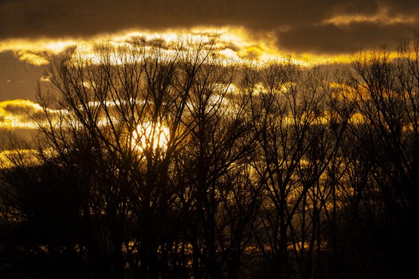 Evening mood, sun, Lower Austria