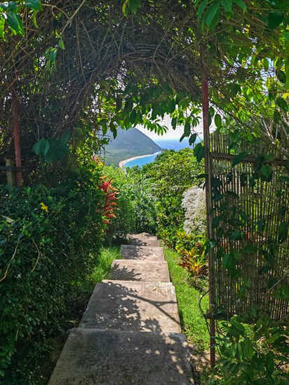 Jardin Botaniqu de Deshaies, botanical garden with flora and fauna in Guadeloupe, Caribbean, French Antilles