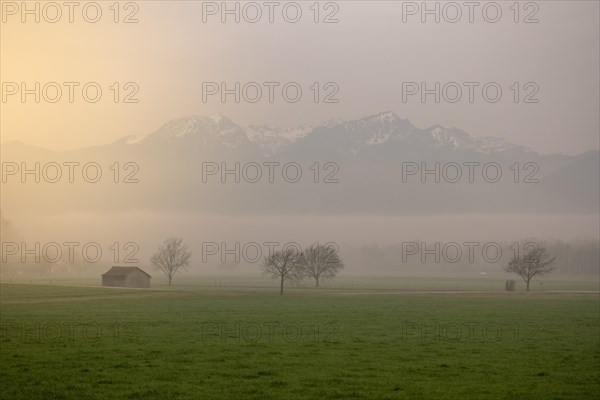 A landscape in the morning mist with a small hut and mountains in the background, Neubeuern, Germany, Europe
