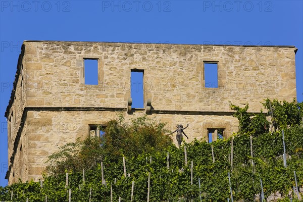 Yburg, Y-Burg, Yberg, Eibenburg, ruins of a hillside castle, historic building, built in the early 14th century, excursion destination, vineyard, Stetten vineyards, plants, Kernen im Remstal, Rems-Murr-Kreis, Baden-Wuerttemberg, Germany, Europe