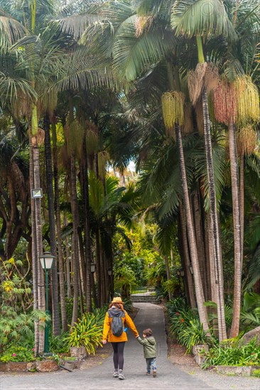 A mother with her son walking in a tropical botanical garden with many palm trees, family vacation concept