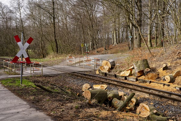 Narrow-gauge railway bed of the Raging Roland, Ruegen, Mecklenburg-Western Pomerania, Germany, Europe