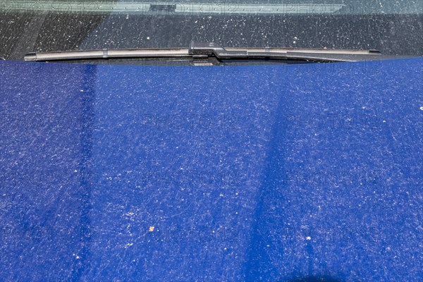 Sahara dust on a car, Braunschweig, Lower Saxony, Germany, Europe