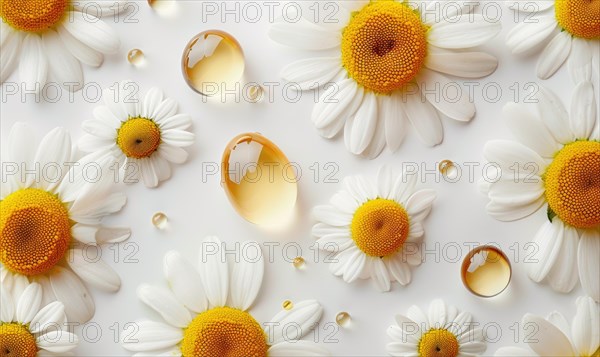 Chamomile essential oil droplets on chamomile flowers, nature beauty background AI generated