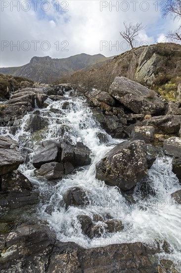 Mountain stream at the LLyn Idwal hiking trail, Snowdonia National Park near Pont Pen-y-benglog, Bethesda, Bangor, Wales, Great Britain