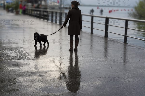 Woman with her Dog on the Walkway with reflection in a Rainy Day with Sunlight in Switzerland. | MR:yes Maria-CH-02-05-2023