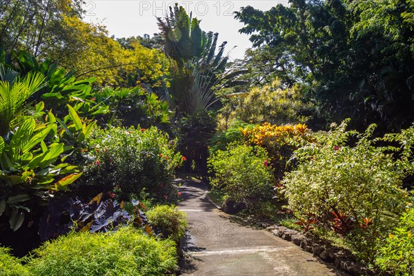 Jardin Botaniqu de Deshaies, botanical garden with flora and fauna in Guadeloupe, Caribbean, French Antilles