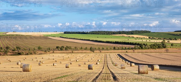 Field landscape during the harvest in summer, stubble field with straw bales under a blue sky with thunderclouds, Saxony-Anhalt, Germany, Europe
