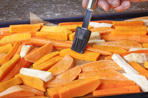 South German cuisine, butternut squash, butternut squash, butternut squash with olive oil, vegetables cut on baking tray, preparation of oven vegetables, pumpkin, fruit vegetables, fruit, carrots, celery, healthy cooking, vegetarian, vegan, autumn cuisine, pumpkin dishes, food, studio, man's hand, brush, Germany, Europe