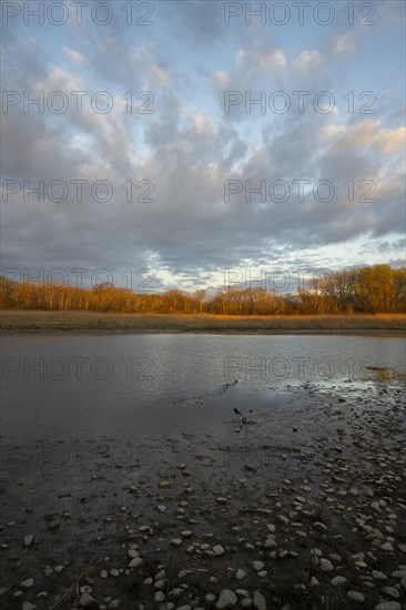 Morning atmosphere, clouds, water, Lower Austria