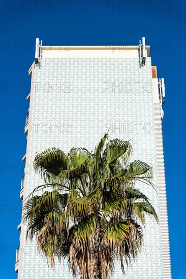 A palm tree in front of a high-rise facade in the Barceloneta neighbourhood of Barcelona, Spain, Europe