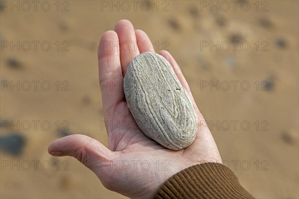 Woman holding stone in hand, beach, LLanddwyn Bay, Newborough, Isle of Anglesey, Wales, Great Britain