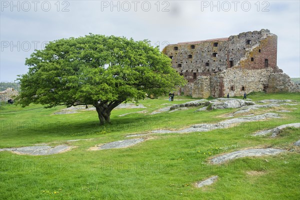 Hammershus was Scandinavia's largest medieval fortification and is one of the largest medieval fortifications in Northern Europe. Now ruin and located on the island Bornholm, Denmark, Baltic Sea, Scandinavia, Europe