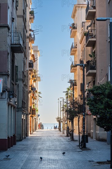 Street in Barcelonata, an old neighbourhood at the port of Barcelona, Spain, Europe