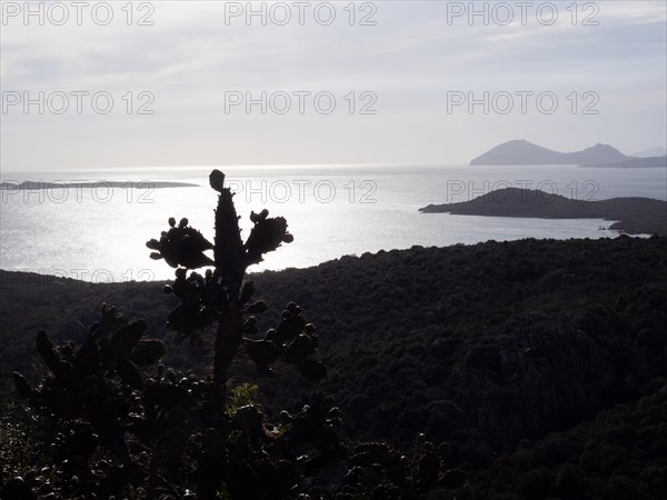 Glittering sea against the light, near Olbia, Sardinia, Italy, Europe