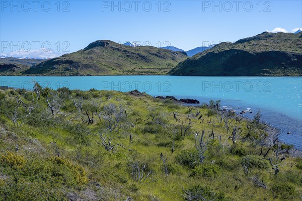 Lago Pehoe, Torres del Paine National Park, Parque Nacional Torres del Paine, Cordillera del Paine, Towers of the Blue Sky, Region de Magallanes y de la Antartica Chilena, Ultima Esperanza Province, UNESCO Biosphere Reserve, Patagonia, End of the World, Chile, South America