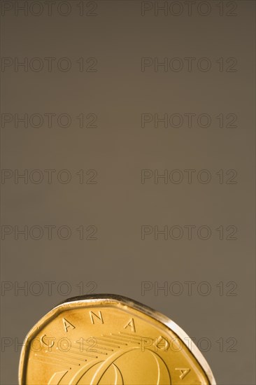 Close-up of gold colored Canadian one dollar coin on dark silver background, Studio Composition, Quebec, Canada, North America