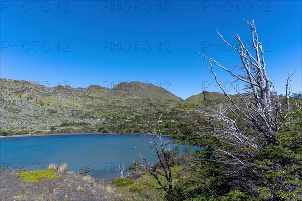 Lago Pehoe, mountain range of the Andes, Torres del Paine National Park, Parque Nacional Torres del Paine, Cordillera del Paine, Towers of the Blue Sky, Region de Magallanes y de la Antartica Chilena, Ultima Esperanza province, UNESCO biosphere reserve, Patagonia, end of the world, Chile, South America