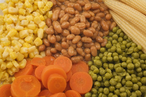 Close-up of mixed cooked vegetables that include brown baked beans, green peas, orange carrots and yellow corn kernels, Studio Composition, Quebec, Canada, North America
