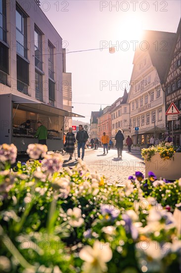 A busy city street with flowers in the foreground, sunrise, Nagold, Black Forest, Germany, Europe