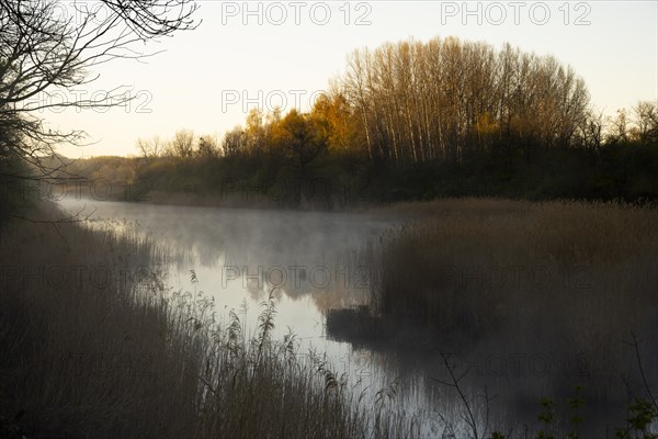 Morning atmosphere, fog, Lower Austria